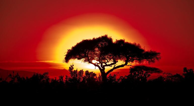 Прошлое десятилетие было самым теплым за всю историю наблюдений в Африке.